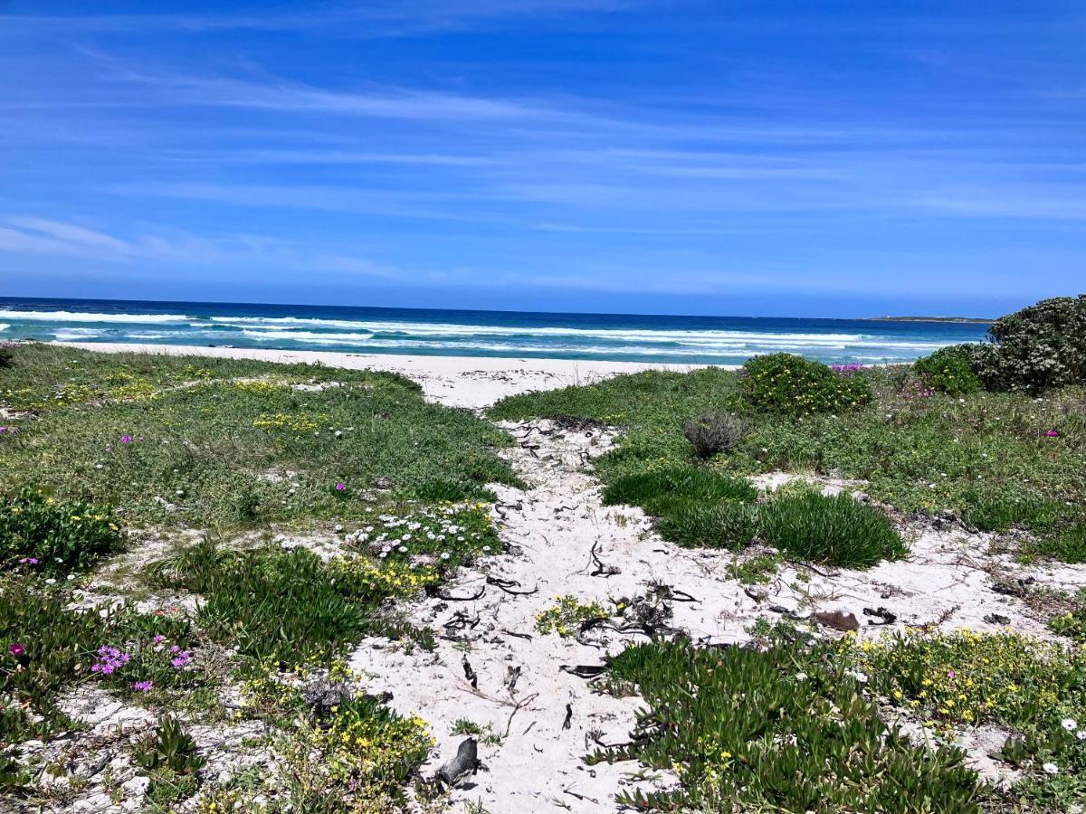 Silverdunes - Seaview Bettys Bay Bagian luar foto
