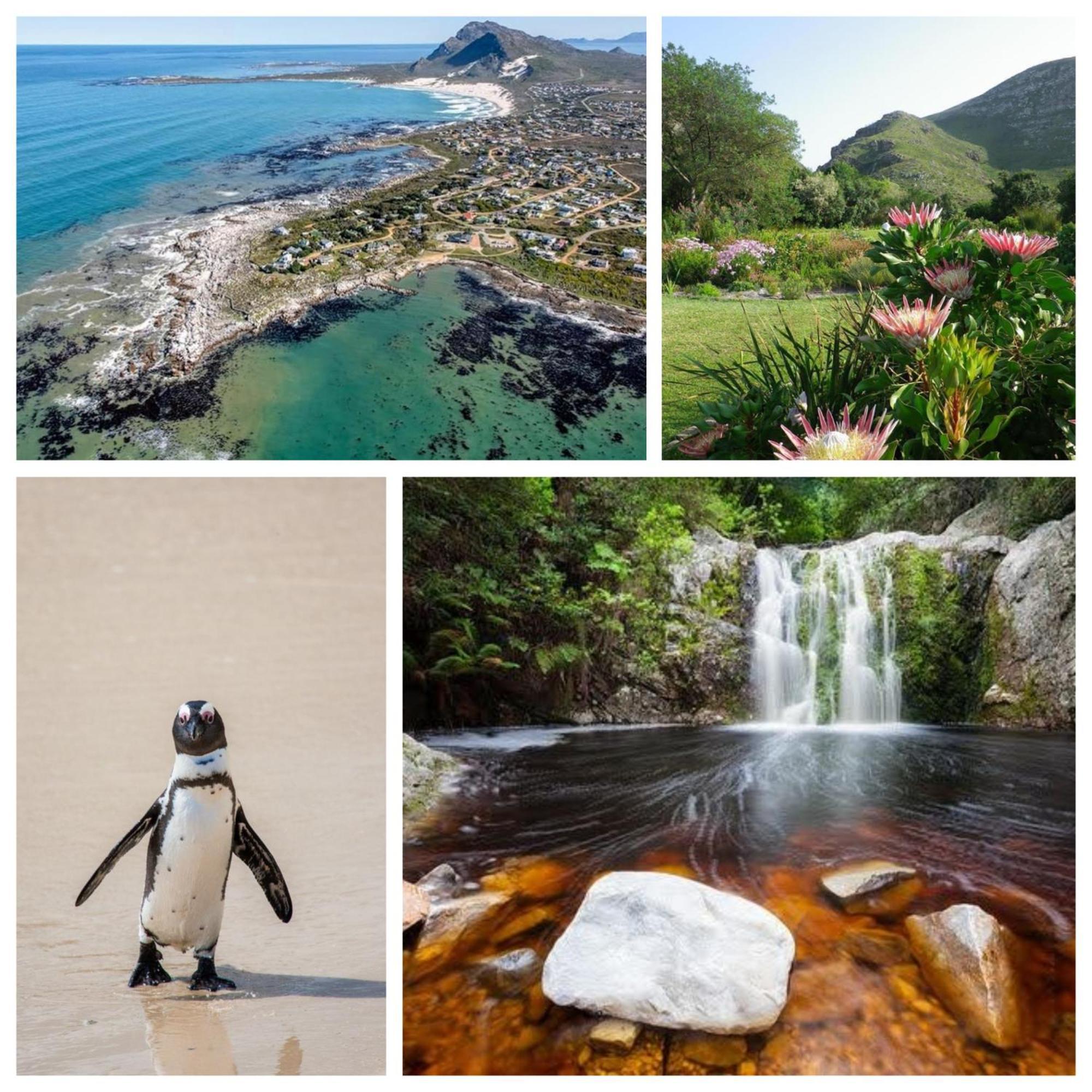 Silverdunes - Seaview Bettys Bay Bagian luar foto